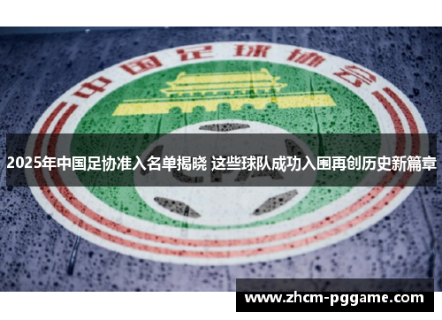 2025年中国足协准入名单揭晓 这些球队成功入围再创历史新篇章